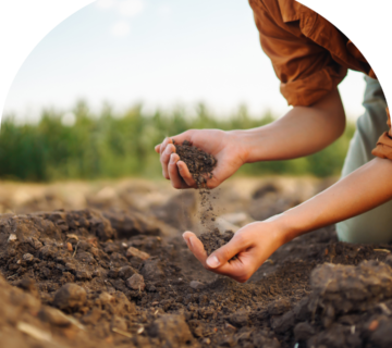 بیماری پیکا